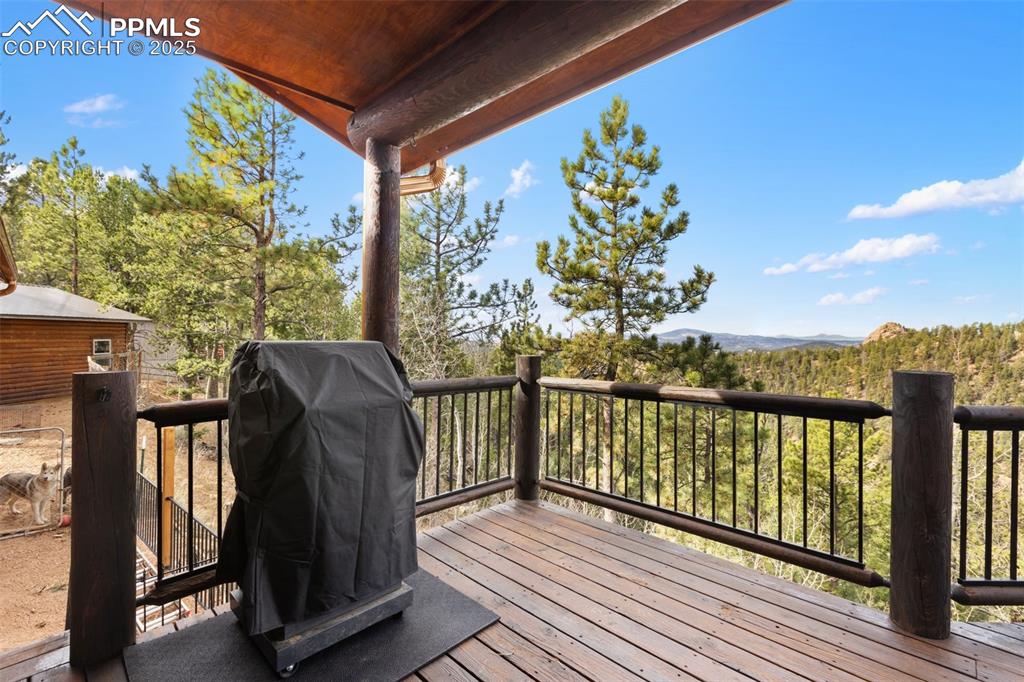 111 Blue Spruce Road Divide CO 80814