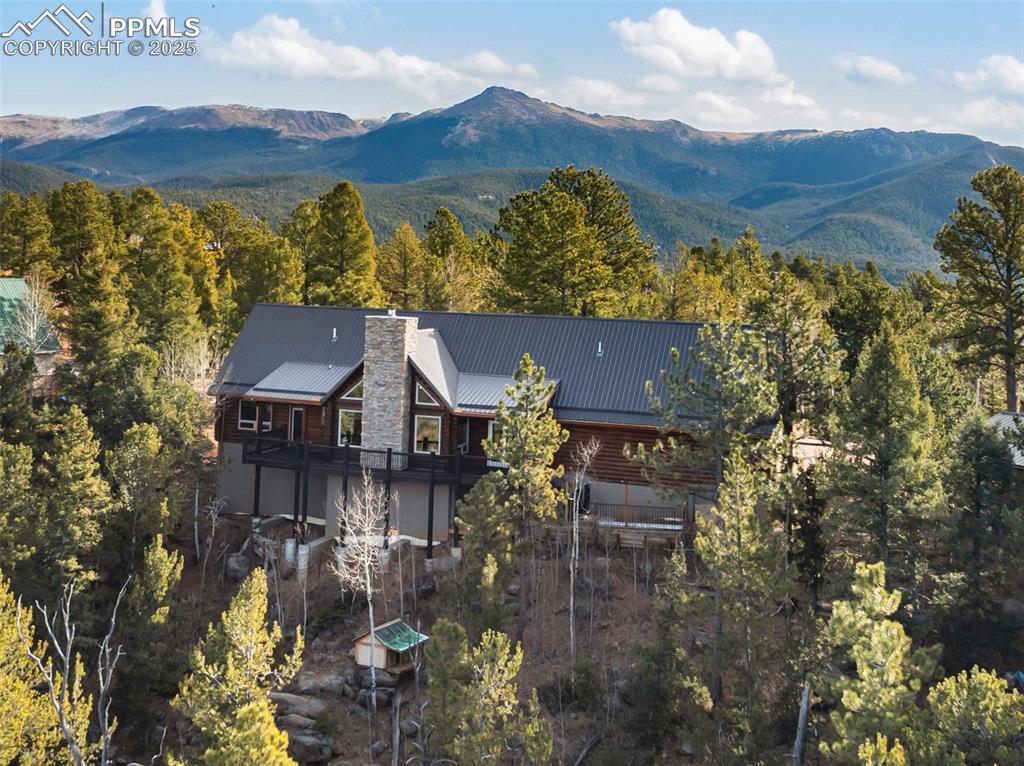111 Blue Spruce Road Divide CO 80814