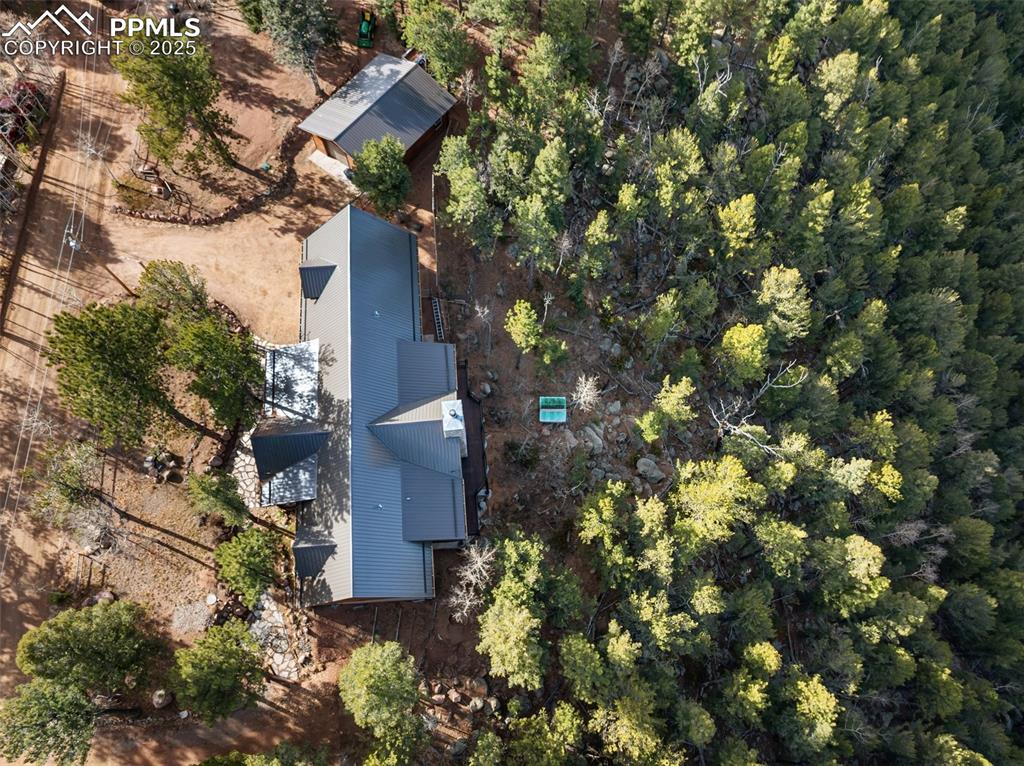111 Blue Spruce Road Divide CO 80814