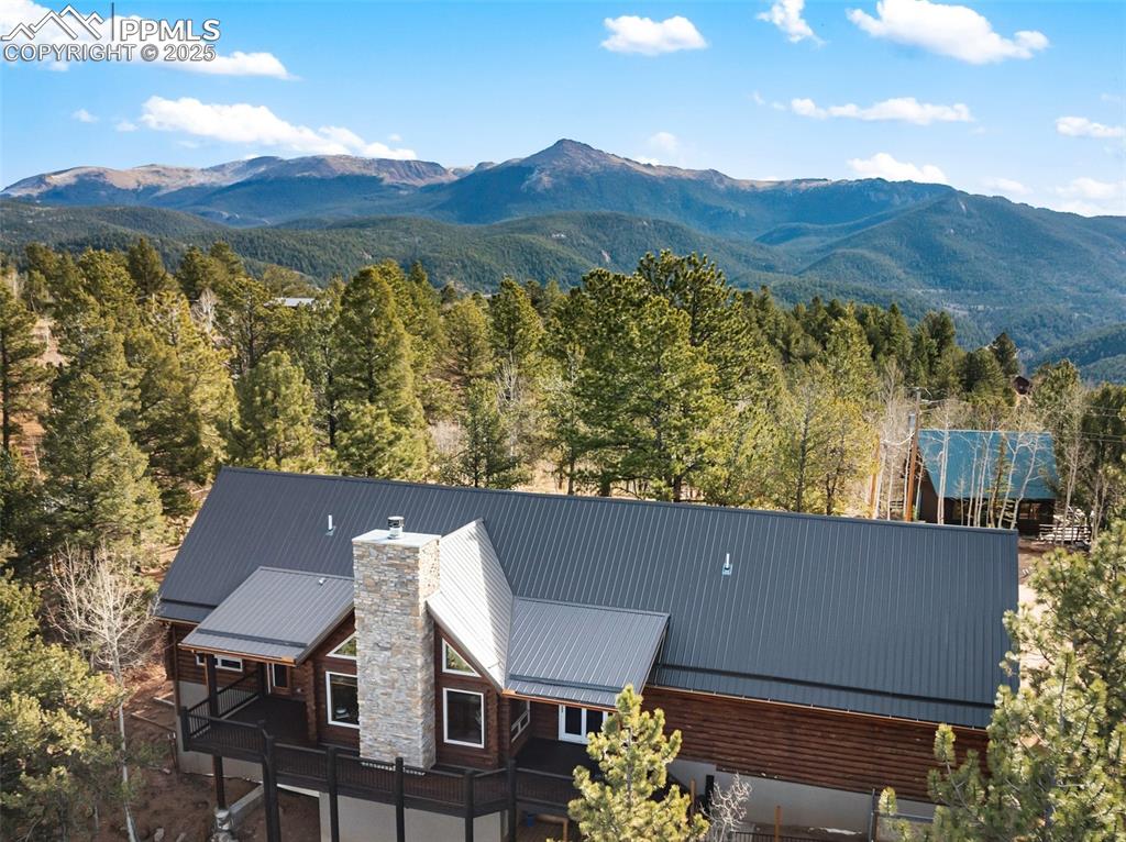 111 Blue Spruce Road Divide CO 80814