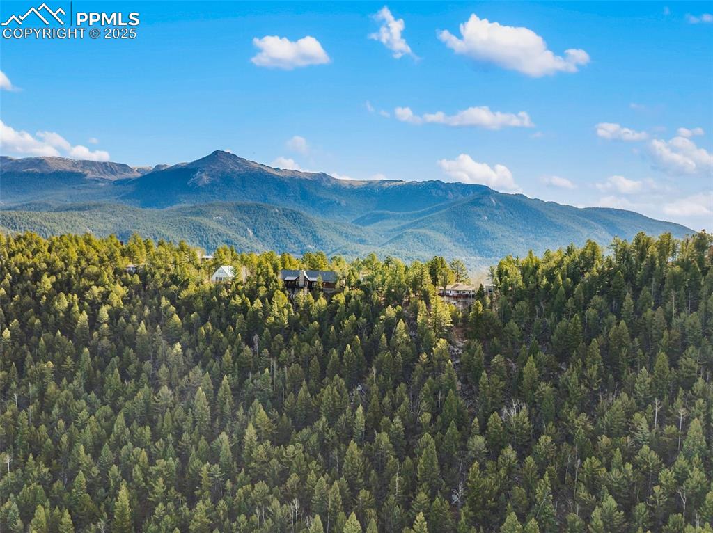 111 Blue Spruce Road Divide CO 80814