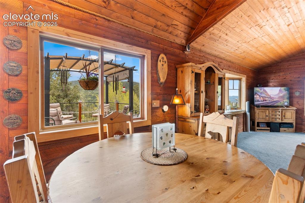 1052 Crown Point Circle Cripple Creek CO 80813
