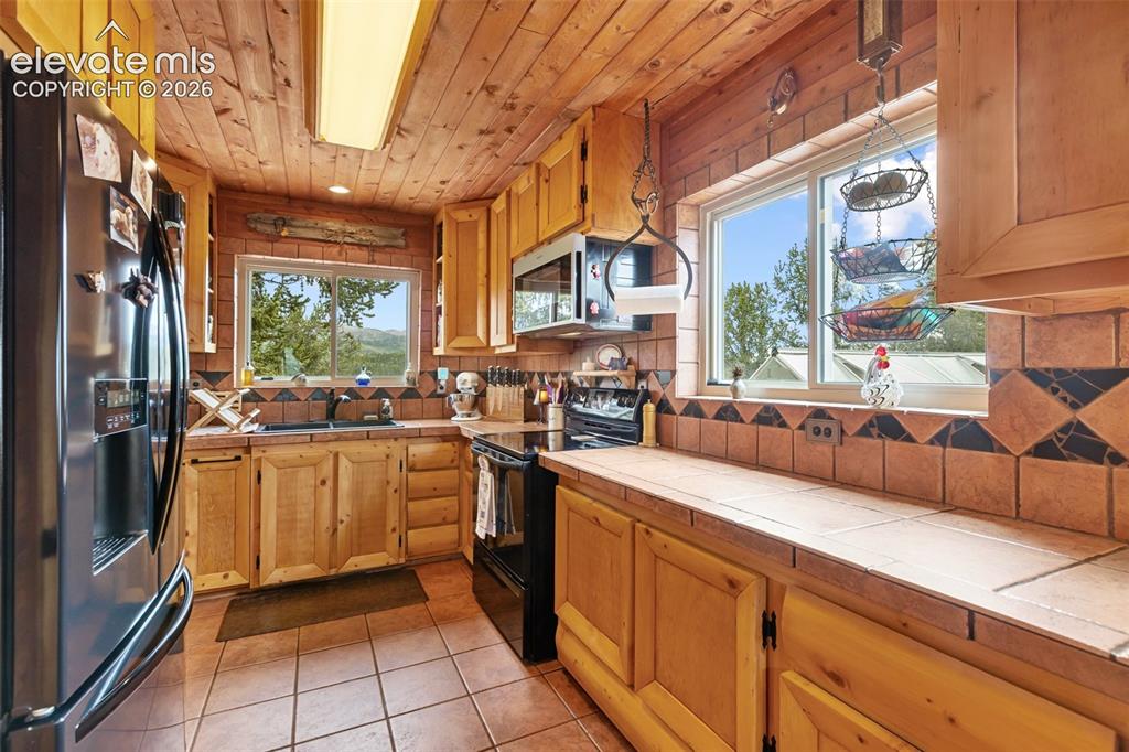 1052 Crown Point Circle Cripple Creek CO 80813