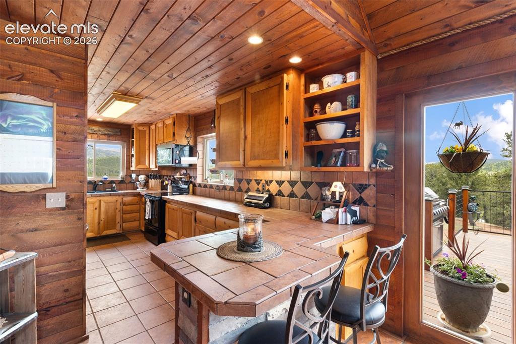 1052 Crown Point Circle Cripple Creek CO 80813