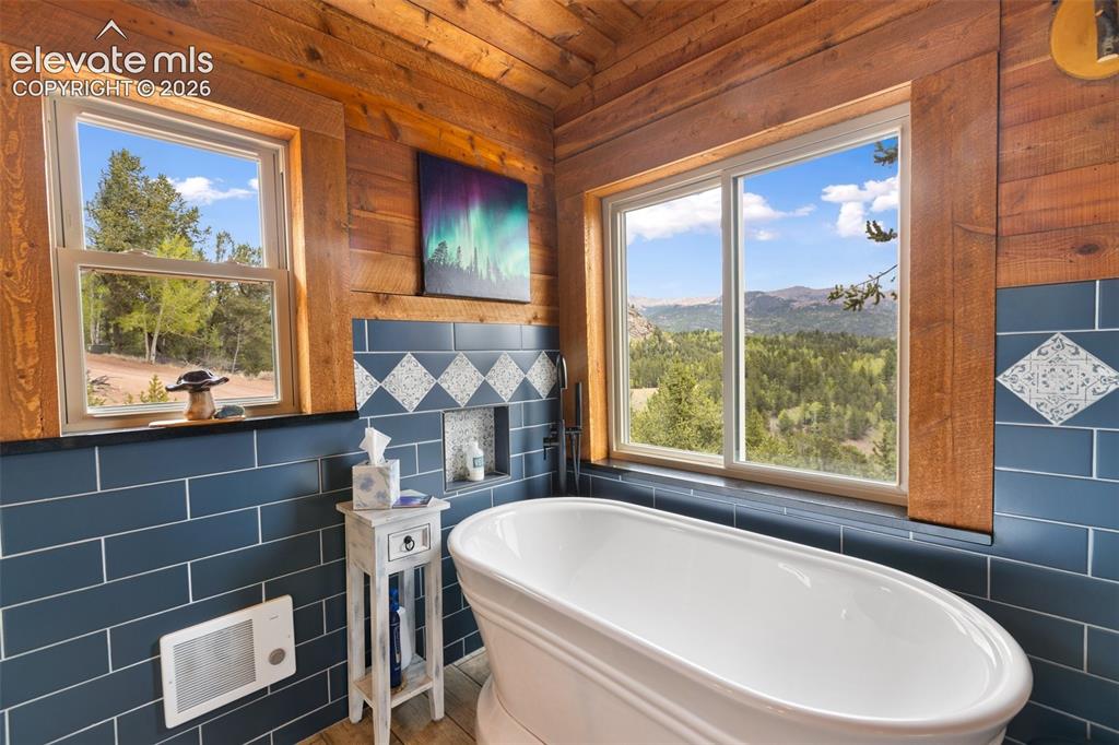 1052 Crown Point Circle Cripple Creek CO 80813