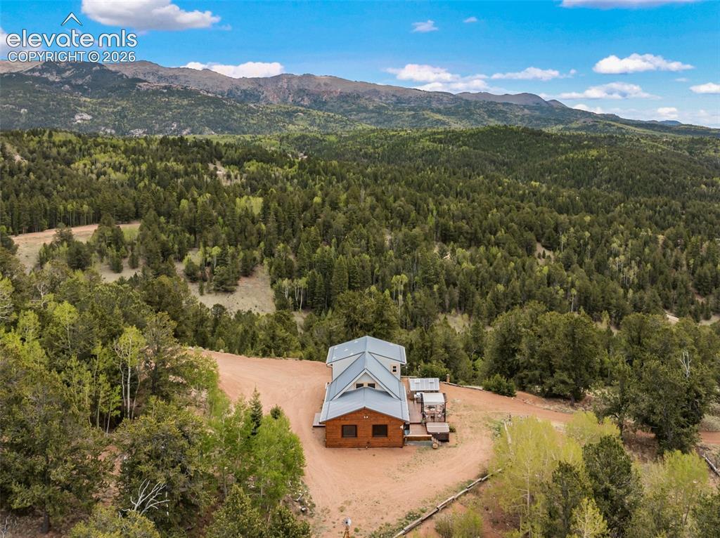 1052 Crown Point Circle Cripple Creek CO 80813