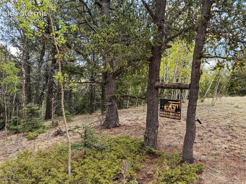 1052 Crown Point Circle Cripple Creek CO 80813