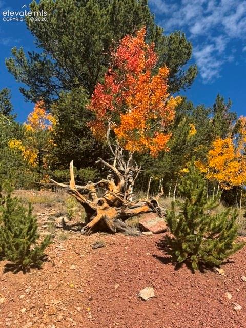 1052 Crown Point Circle Cripple Creek CO 80813