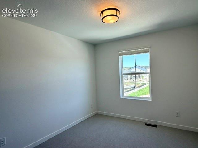 17784 Brass Buckle Way Monument CO 80132