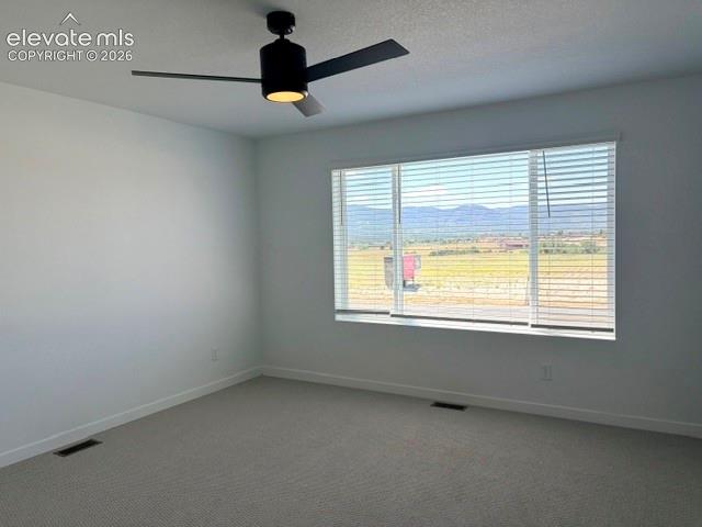 17784 Brass Buckle Way Monument CO 80132