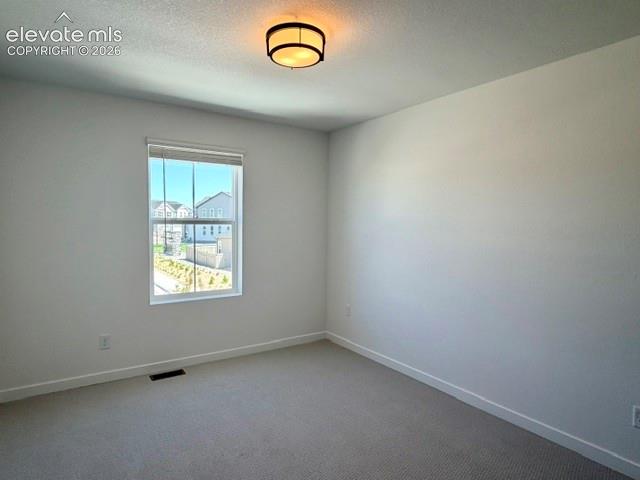 17784 Brass Buckle Way Monument CO 80132