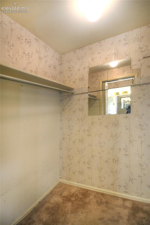 3007 Chelton Drive Colorado Springs CO 80909