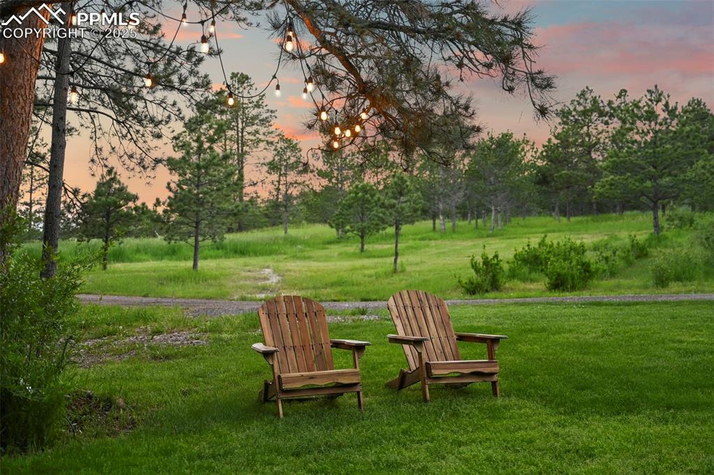 17104 E Goshawk Road Colorado Springs CO 80908