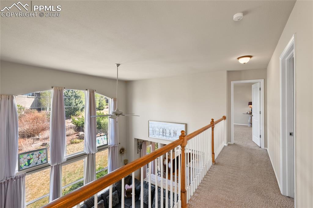 13753 Windy Oaks Road Colorado Springs CO 80921