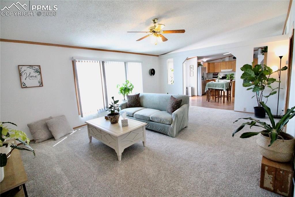 9403 Summer Meadows Drive Colorado Springs CO 80925