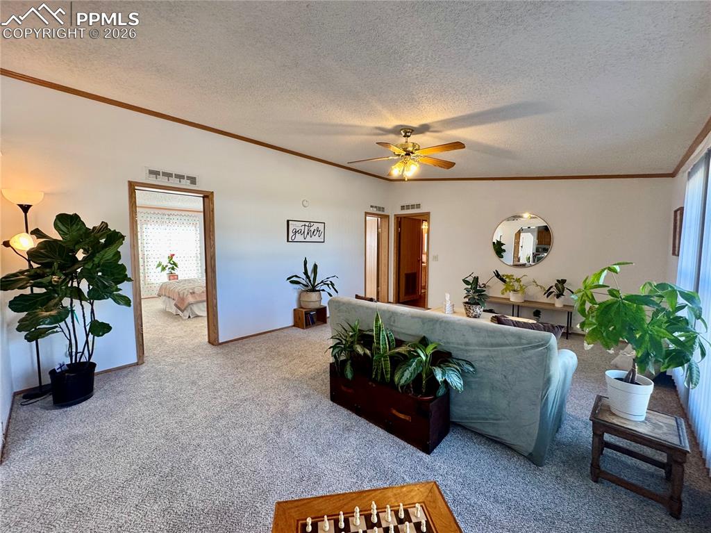 9403 Summer Meadows Drive Colorado Springs CO 80925