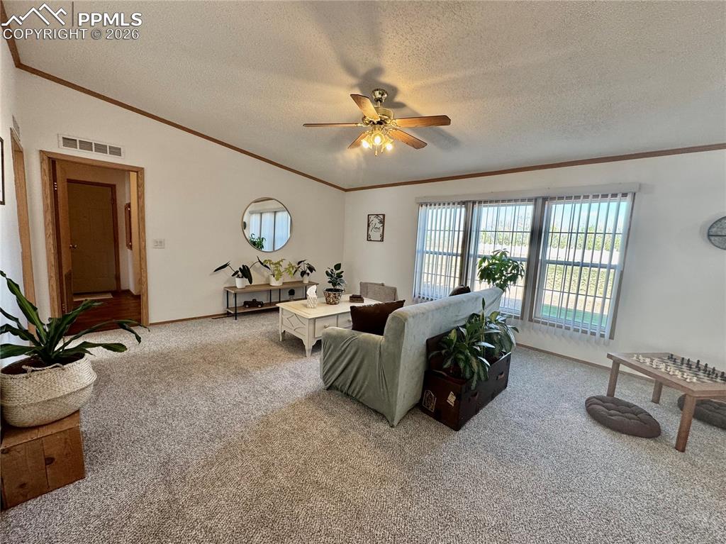 9403 Summer Meadows Drive Colorado Springs CO 80925