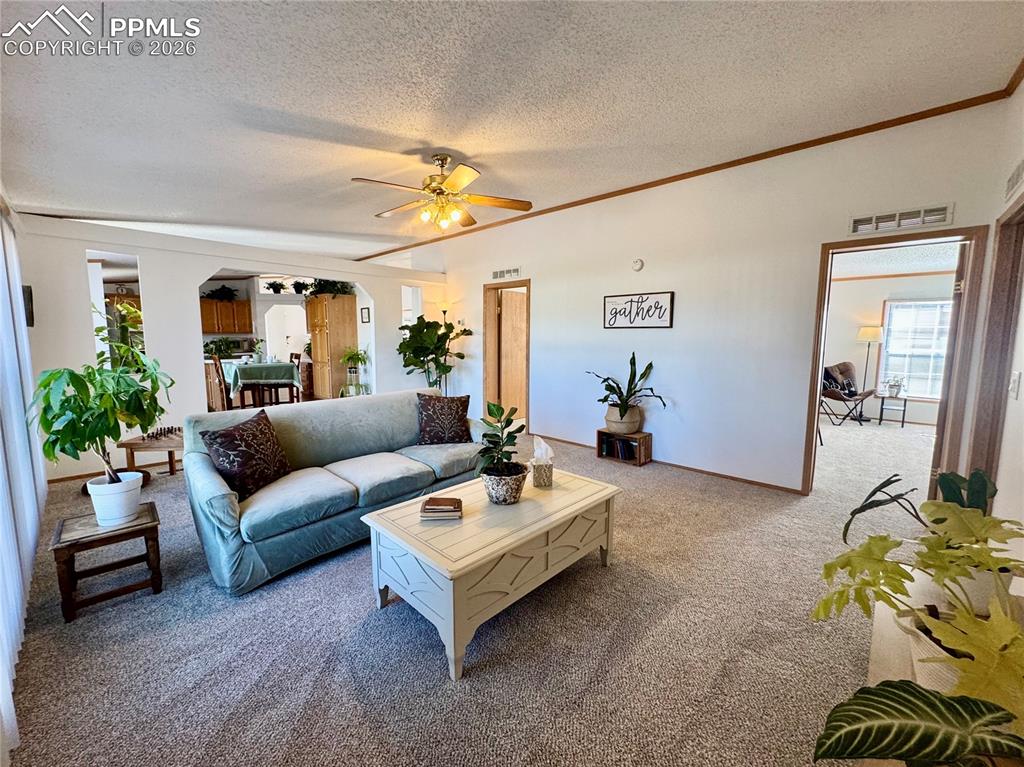 9403 Summer Meadows Drive Colorado Springs CO 80925