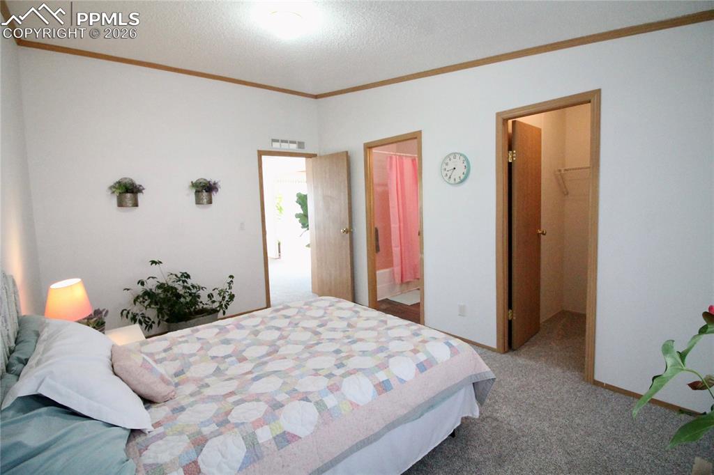 9403 Summer Meadows Drive Colorado Springs CO 80925