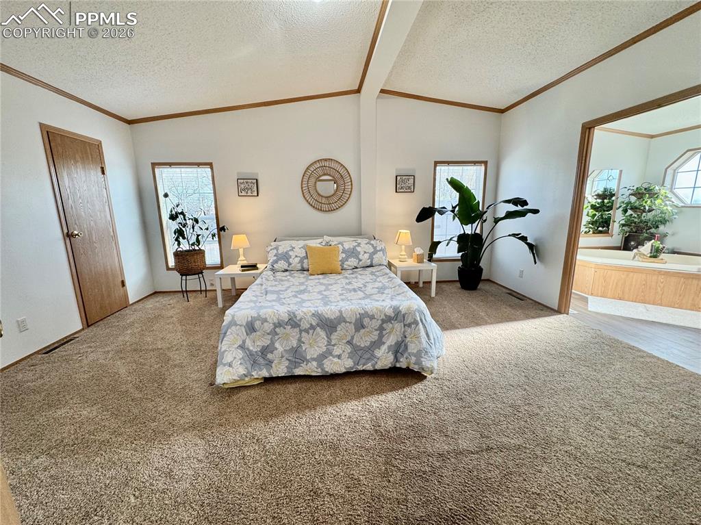 9403 Summer Meadows Drive Colorado Springs CO 80925