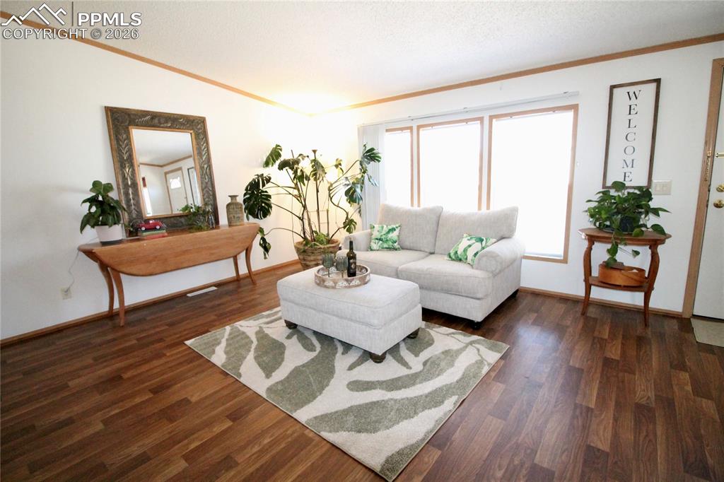 9403 Summer Meadows Drive Colorado Springs CO 80925