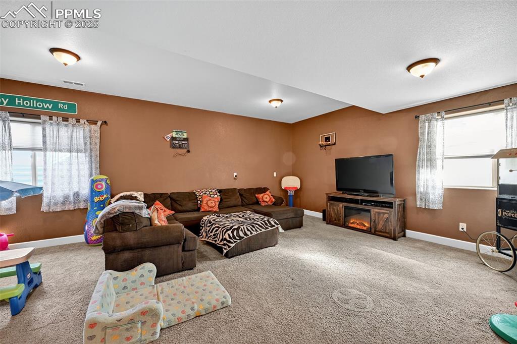 19125 Baskerville Way Monument CO 80132