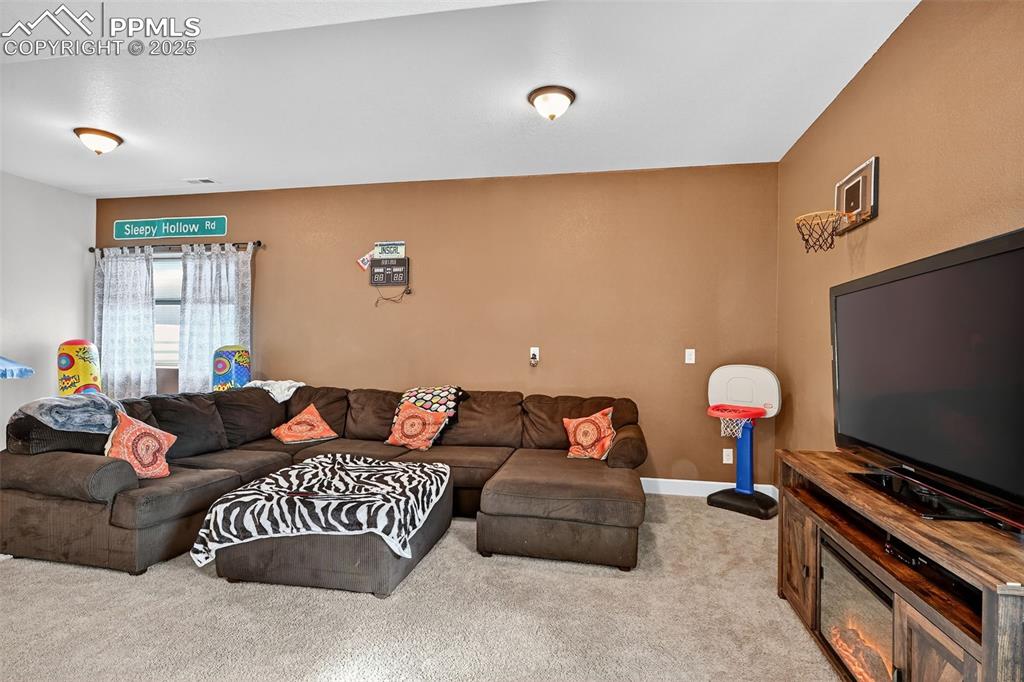 19125 Baskerville Way Monument CO 80132