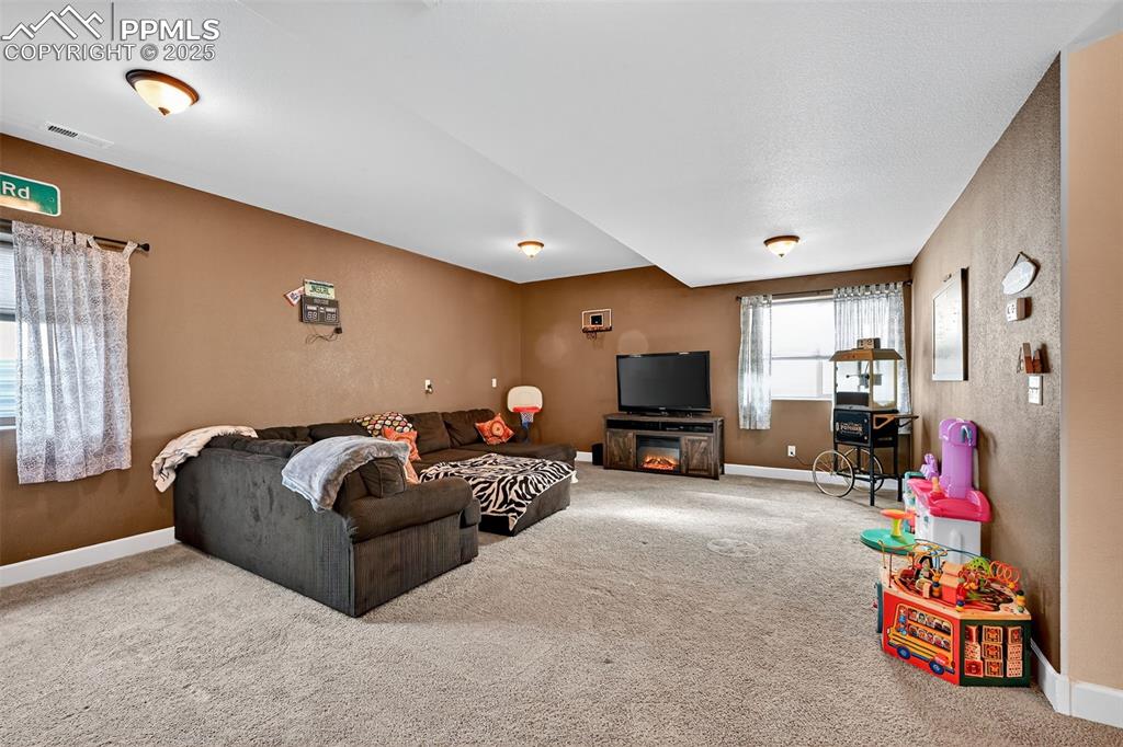 19125 Baskerville Way Monument CO 80132