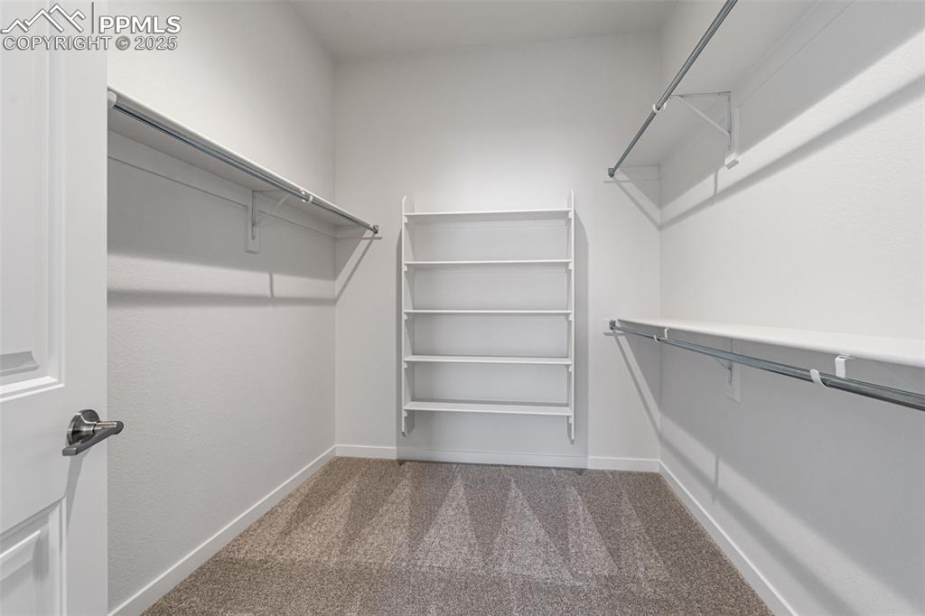 8424 William Downing Drive Colorado Springs CO 80908