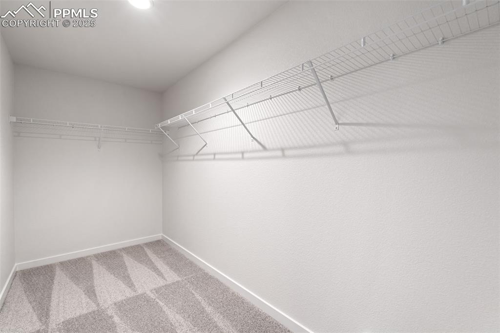 8424 William Downing Drive Colorado Springs CO 80908