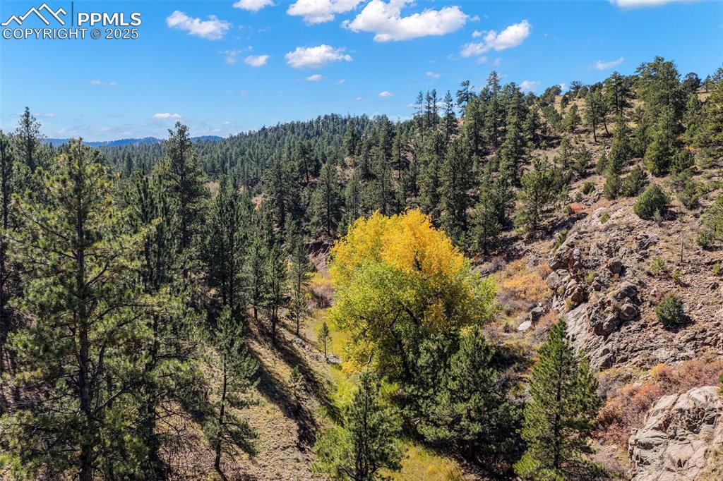 838 County Road 260 Westcliffe CO 81252