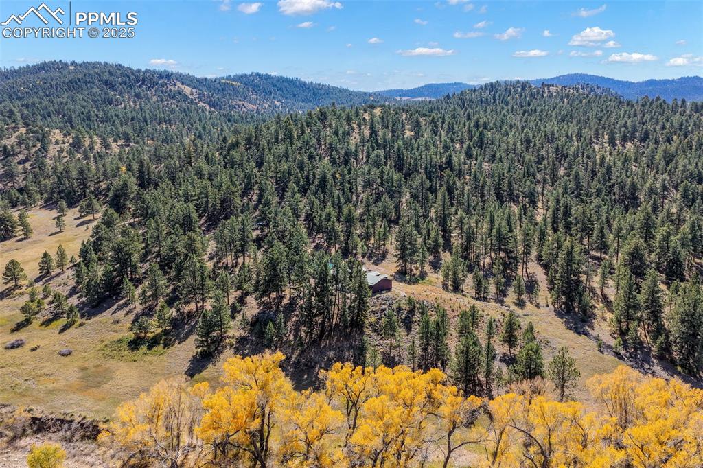 838 County Road 260 Westcliffe CO 81252