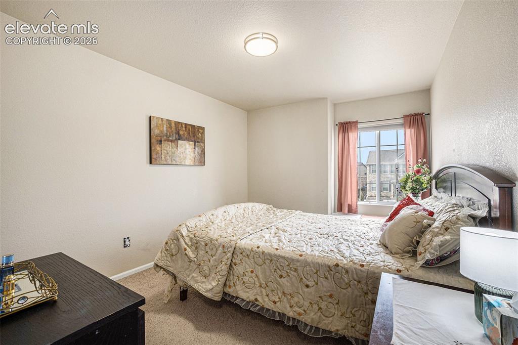 8317 Chasewood Loop Colorado Springs CO 80908