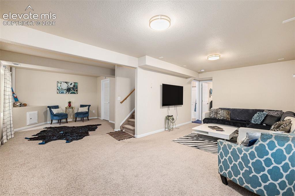 8317 Chasewood Loop Colorado Springs CO 80908