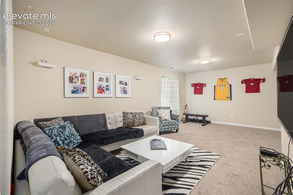 8317 Chasewood Loop Colorado Springs CO 80908