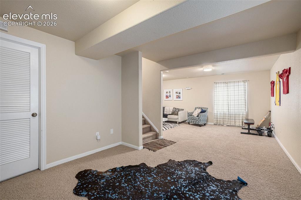 8317 Chasewood Loop Colorado Springs CO 80908