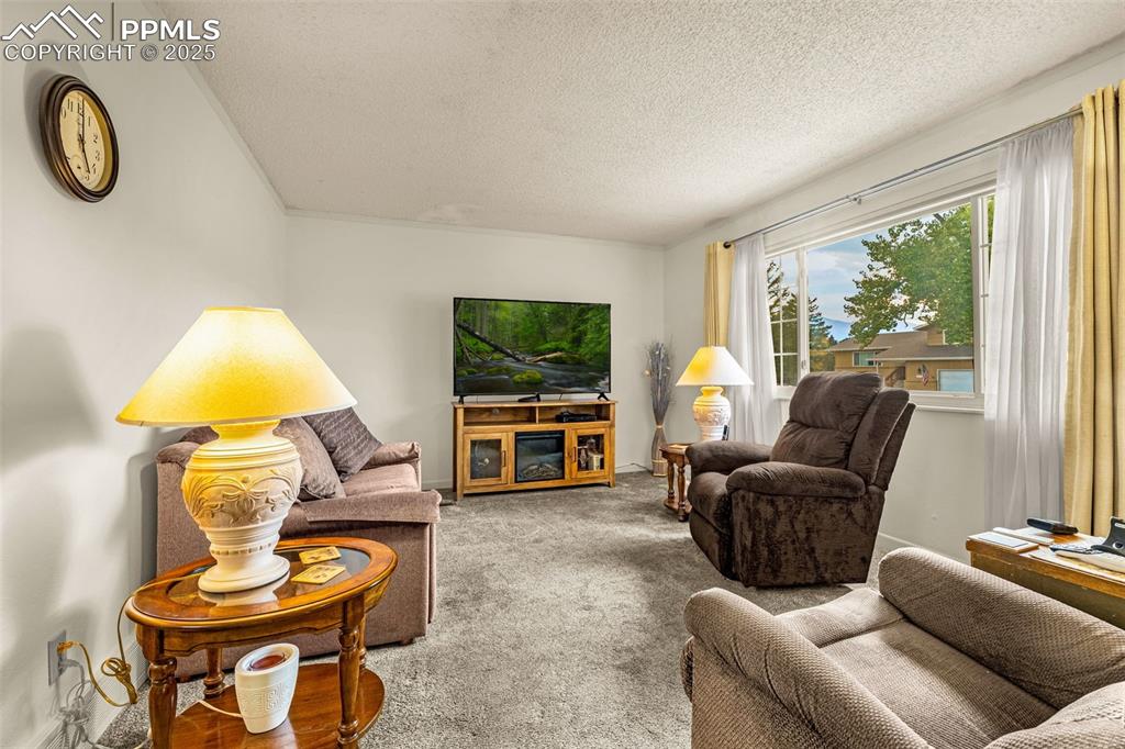 6515 E Wicklow Circle Colorado Springs CO 80918