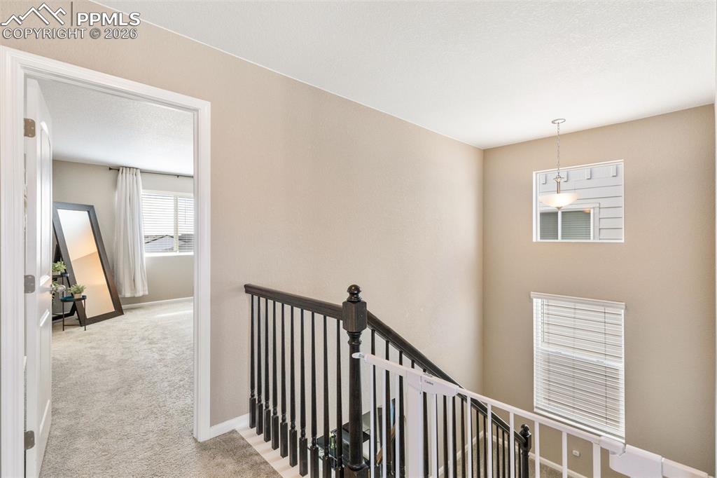 6372 Bodacious Circle Colorado Springs CO 80923