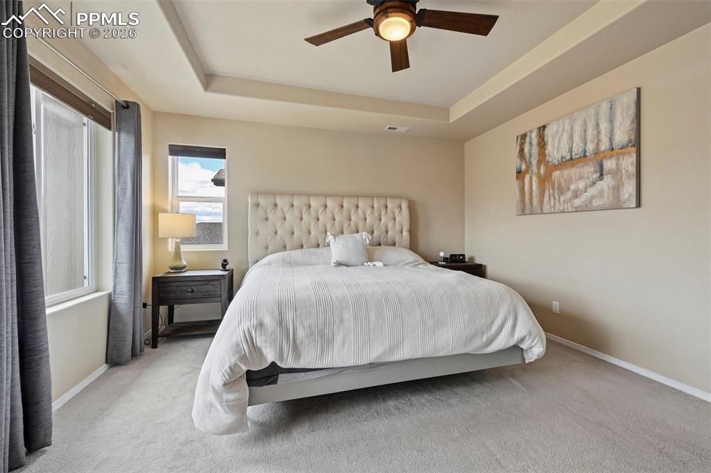 8742 Windy Plains Court Colorado Springs CO 80927
