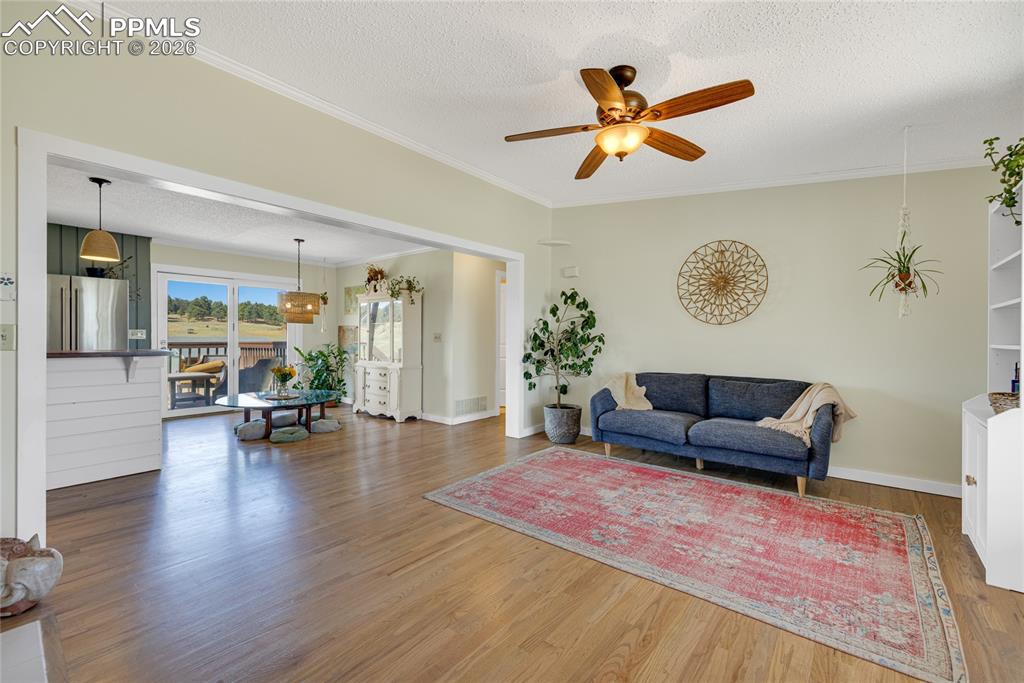 17520 Fremont Fort Drive Peyton CO 80831