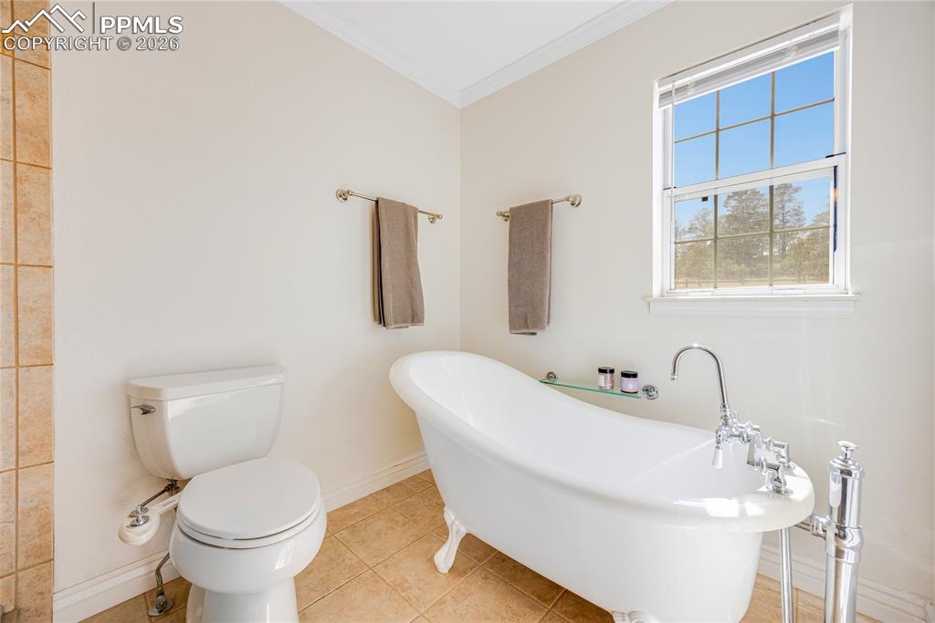 17520 Fremont Fort Drive Peyton CO 80831