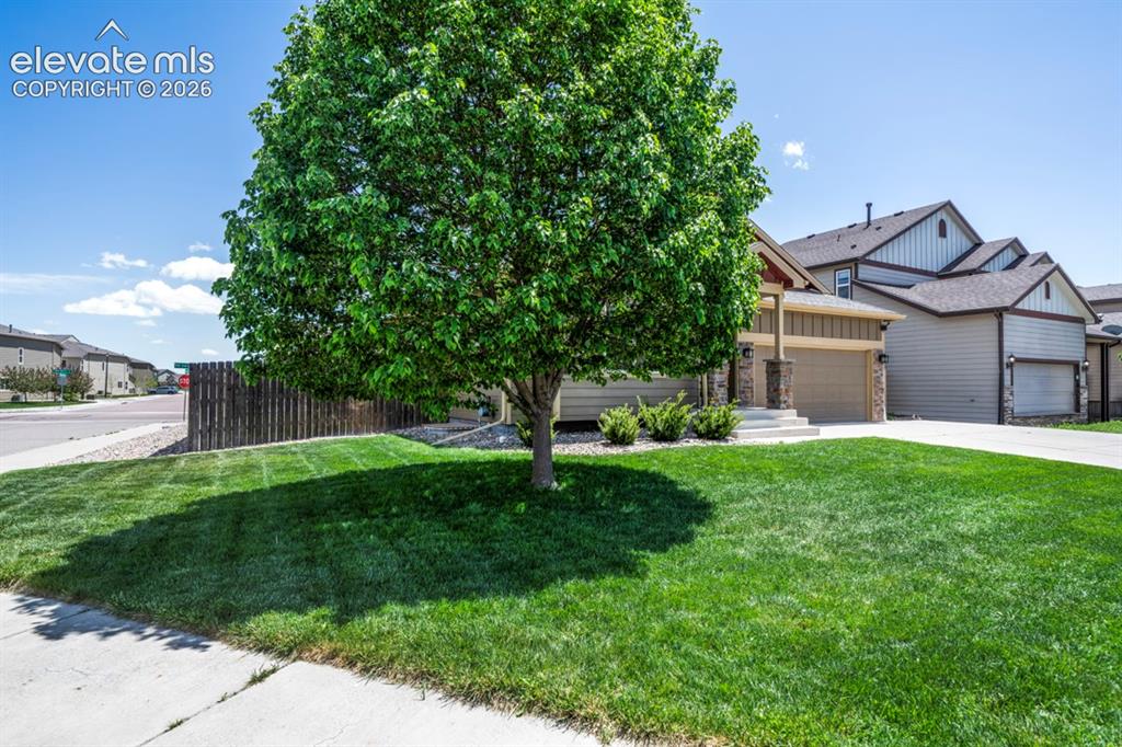 6309 Tranters Creek Way Colorado Springs CO 80925