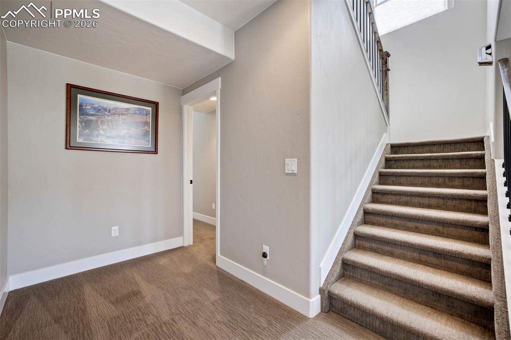 2067 Zenato Court Colorado Springs CO 80921