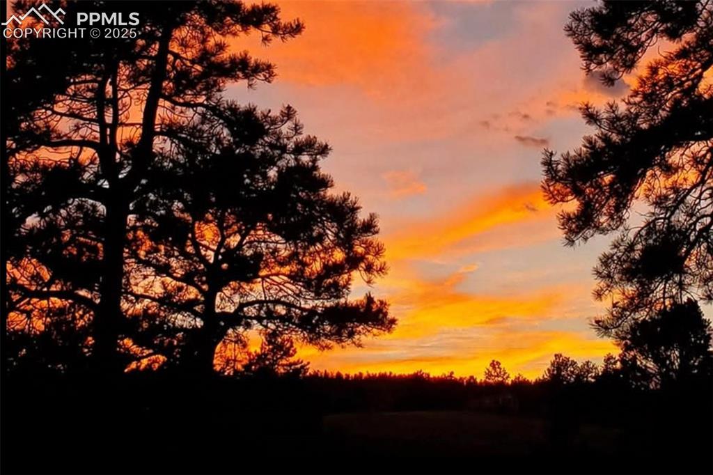 11 Valley Circle Guffey CO 80820