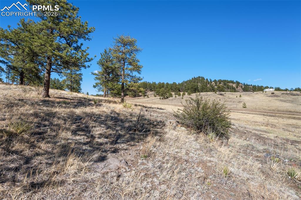 11 Valley Circle Guffey CO 80820