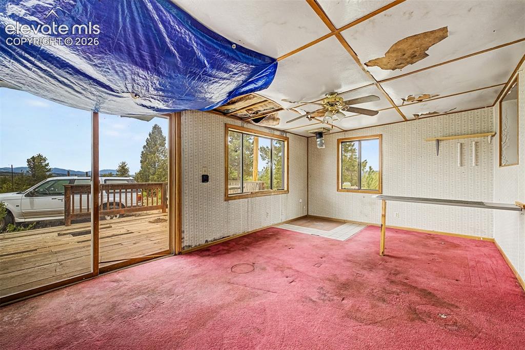 357 County Road 46 Florissant CO 80816
