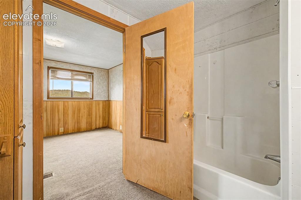 357 County Road 46 Florissant CO 80816