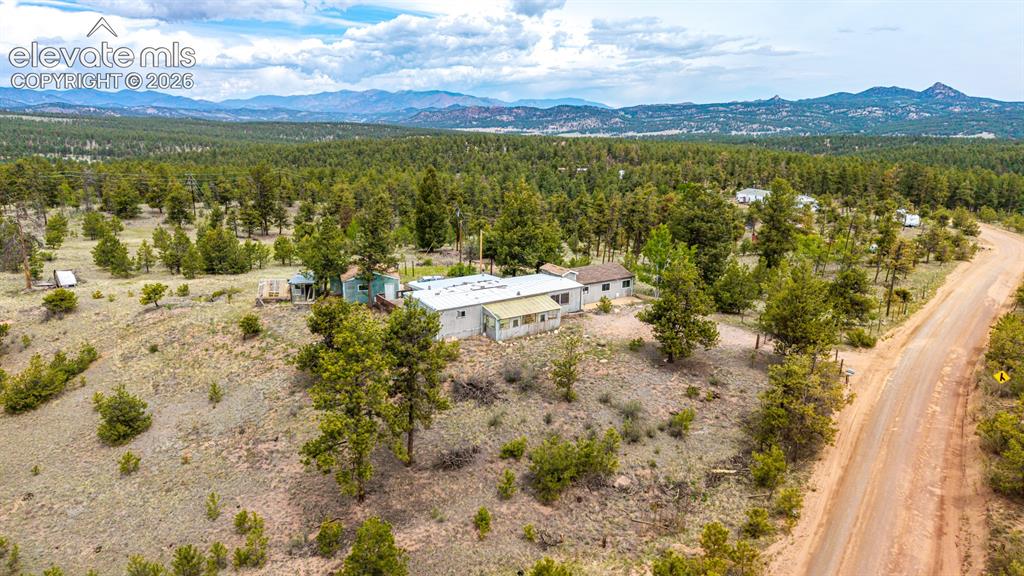 357 County Road 46 Florissant CO 80816