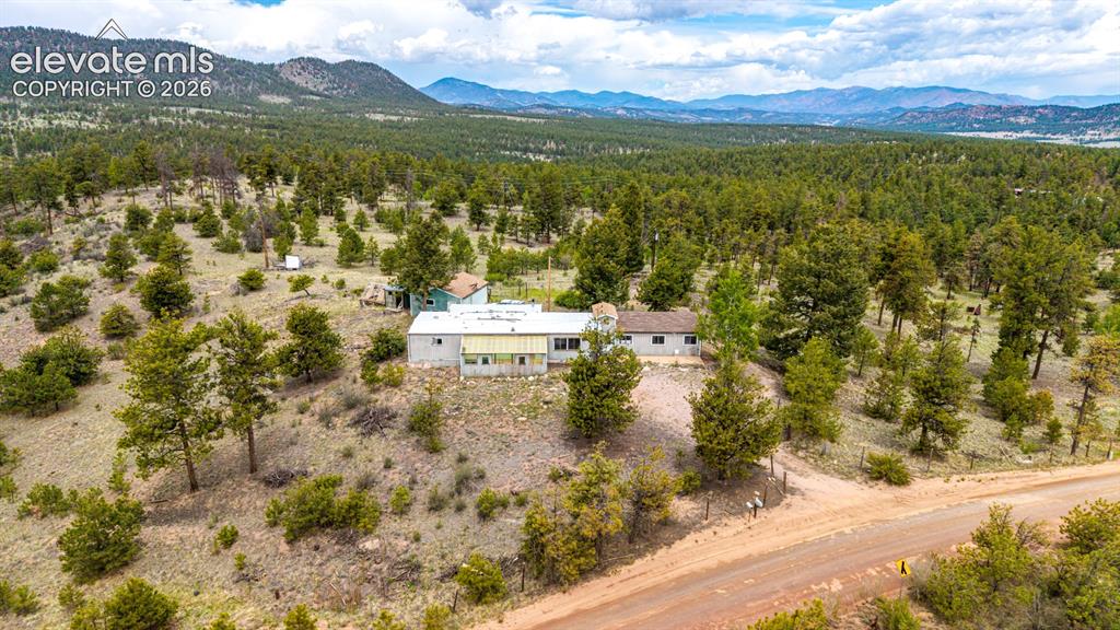 357 County Road 46 Florissant CO 80816