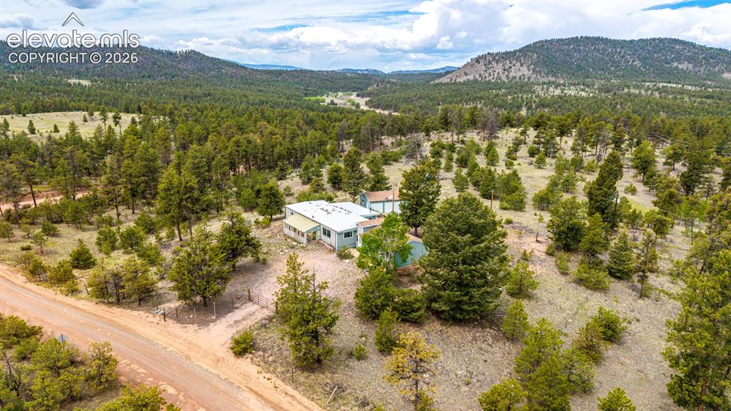 357 County Road 46 Florissant CO 80816